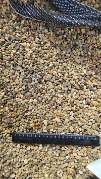 Kamenclub.ru: Галька окат (серо-желтая) фр.5-10 мм. купить  в Петрозаводске галька речная рыжий, желтый, рыжий, серо-желтый речная окатанная галька декоративная 5000 руб/т   фото КАМЕНЬ КЛУБ