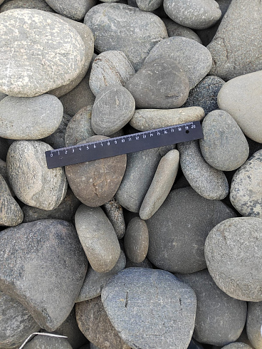 Kamenclub.ru: Галька речная плоская (ассорти) фр. 70-150 мм. купить  в Петрозаводске галька галечник серый белый темно-серый синий светло-серый плоская природная галька  9000 руб/т   фото КАМЕНЬ КЛУБ
