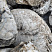 Kamenclub.ru: Кварцевый валунчик фр.100-300 мм.  купить в Петрозаводске кварц белый, бежевый молочный рыжий крупный природный камень галечник 7850 руб/т   фото КАМЕНЬ КЛУБ