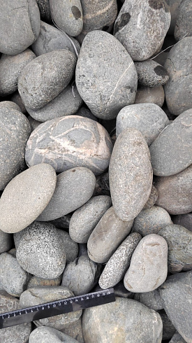 Kamenclub.ru: Галька речная окат (темно-серая) фр. 70-150 мм. купить  в Петрозаводске галька речная темно-серая, синяя, серая речная галька округлая  8000 руб/т   фото КАМЕНЬ КЛУБ