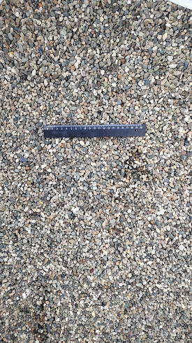 Kamenclub.ru: Галька речная окат (серая) фр.5-10 мм купить  в Петрозаводске галька речная серая, серый, темно-серый, светло-серый, коричневый речная окатанная галька декоративная ландшатфная 5000 руб/т   фото КАМЕНЬ КЛУБ