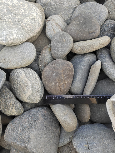 Kamenclub.ru: Галька речная плоская (ассорти) фр. 70-150 мм. купить  в Петрозаводске галька галечник серый белый темно-серый синий светло-серый плоская природная галька  9000 руб/т   фото КАМЕНЬ КЛУБ