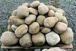 Kamenclub.ru: Песчаник ядра, фр. 100-300 мм  купить в Петрозаводске песчаник бежевый серый рыжий речная галька 5 000 руб/т   фото КАМЕНЬ КЛУБ