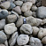 Kamenclub.ru: Речной валун (Ассорти) фр.100-300 мм.  купить в Петрозаводске галечник серый, темно-серый, светло-серый речная галька крупных размеров 4200 руб/т   фото КАМЕНЬ КЛУБ