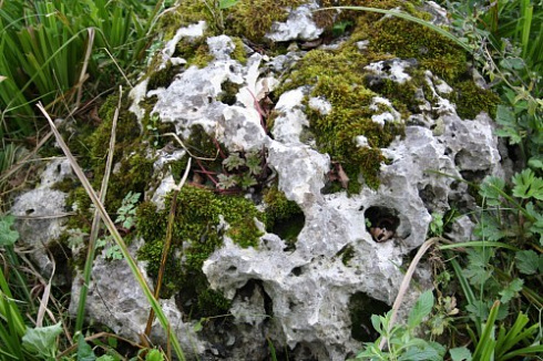 Kamenclub.ru: Выветренный известняк со мхом фр. 100-500 мм.  купить в Петрозаводске известняк серый белый зеленый валун известняковый крупный 10000 руб/т   фото КАМЕНЬ КЛУБ