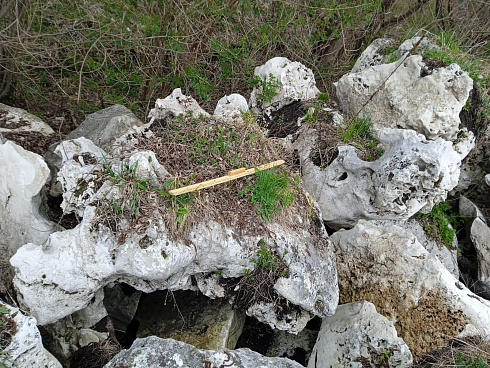 Kamenclub.ru: Выветренный известняк (степной) фр. 500-1500 мм.  купить в Петрозаводске    10000 руб/т   фото КАМЕНЬ КЛУБ