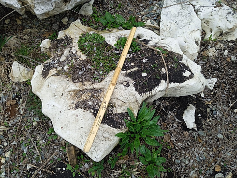 Kamenclub.ru: Выветренный известняк (степной) фр. 500-1500 мм.  купить в Петрозаводске    10000 руб/т   фото КАМЕНЬ КЛУБ