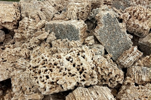 Kamenclub.ru: Крымский природный меотис фр. 100-500 мм.  купить в Петрозаводске меотис бежевый рыжий молочный желтый ракушечник 4 500 руб/т   фото КАМЕНЬ КЛУБ