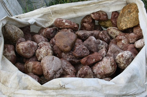 Kamenclub.ru: Розовый валунчик фр.100-300 мм.  купить в Петрозаводске крупный природный камень розовый, серый молочный красный речной галечник природный 7850 руб/т   фото КАМЕНЬ КЛУБ