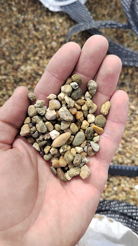 Kamenclub.ru: Галька окат (серо-желтая) фр.5-10 мм. купить  в Петрозаводске галька речная рыжий, желтый, рыжий, серо-желтый речная окатанная галька декоративная 5000 руб/т   фото КАМЕНЬ КЛУБ